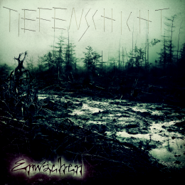 Cover: Tiefenschicht - Erwachen